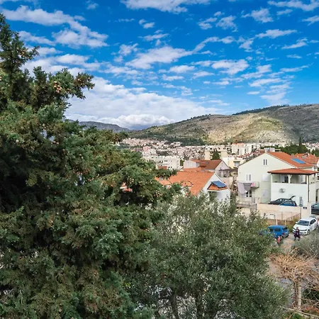Apartman Luki *
